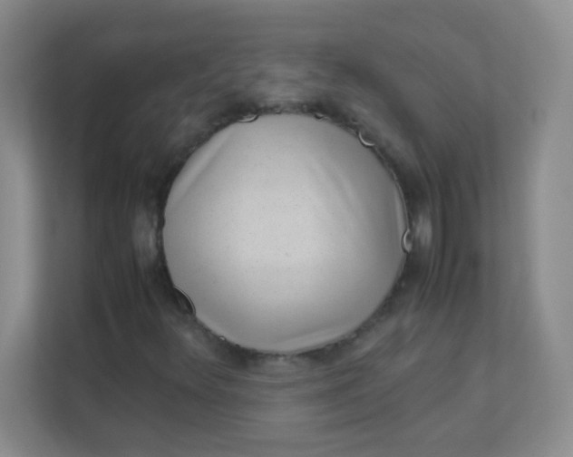 X0000111391348200907311105