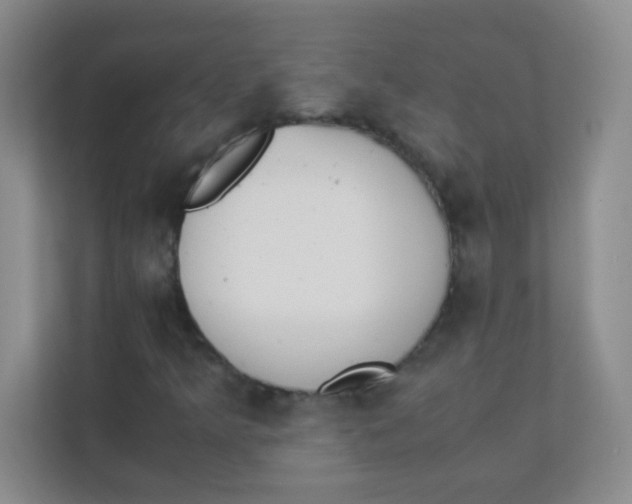 X0000111391349200907311105