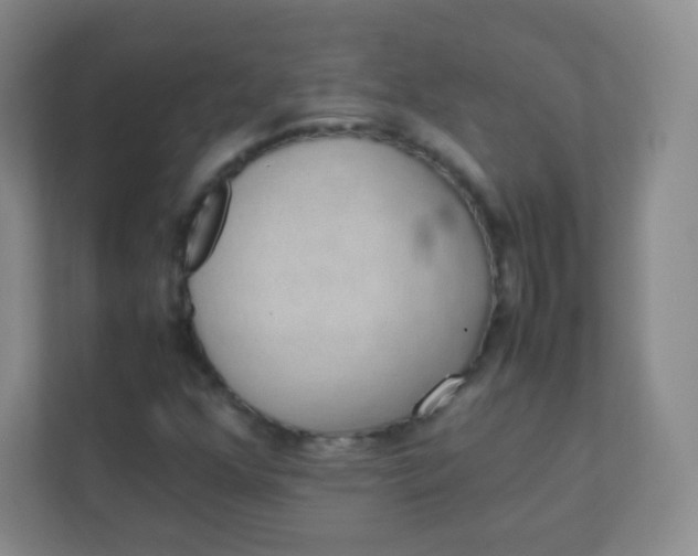 X0000111391352200907311105