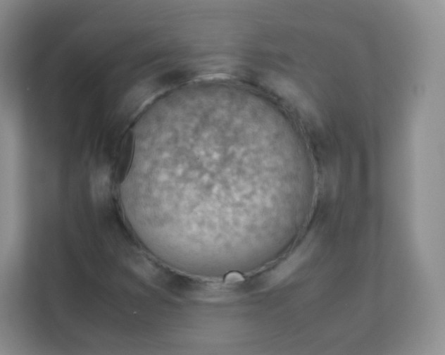 X0000111391353200907311105