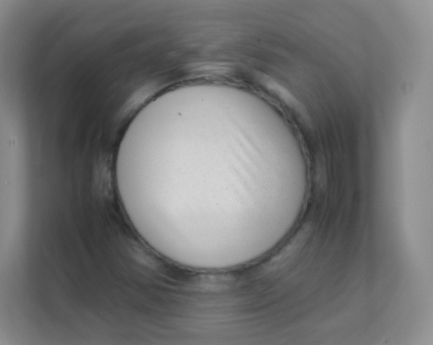 X0000111391354200907311105