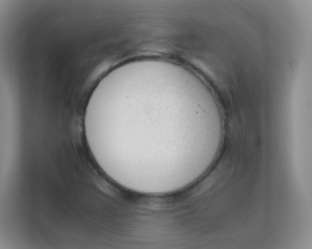 X0000111391355200907311105