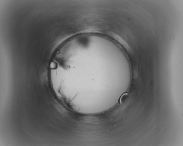 X0000111391356200907311105