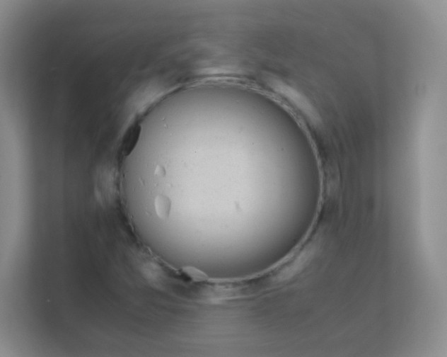 X0000111391357200907311105