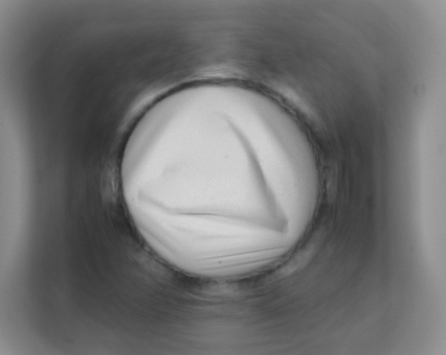 X0000111391358200907311105