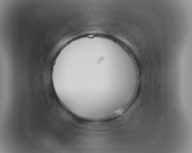 X0000111391359200907311105