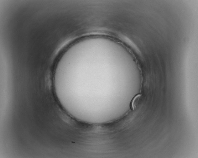 X0000111391360200907311105