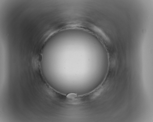 X0000111391361200907311105