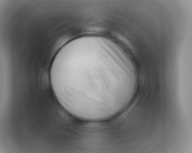 X0000111391362200907311105