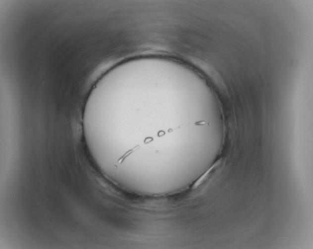 X0000111391363200907311105