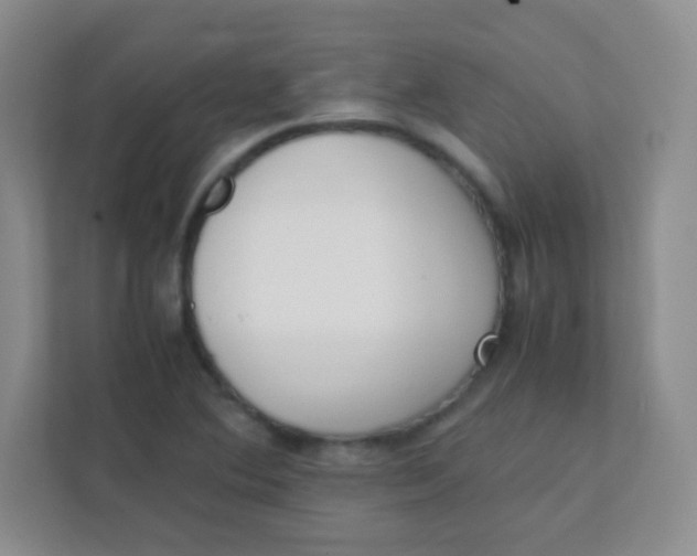 X0000111391364200907311105