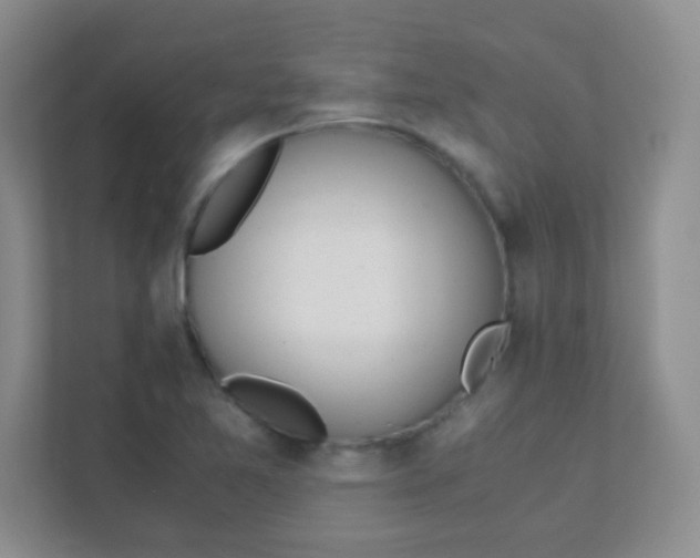 X0000111391365200907311105