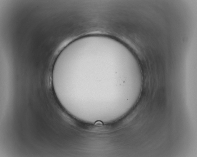 X0000111391367200907311105