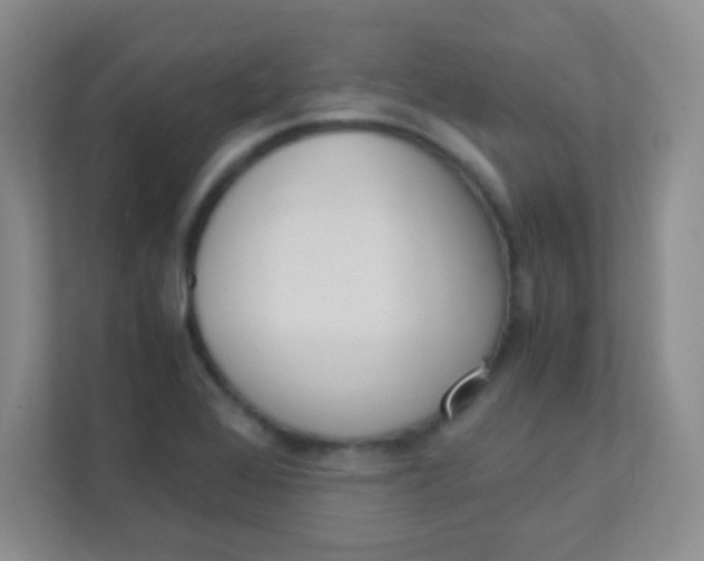 X0000111391368200907311105