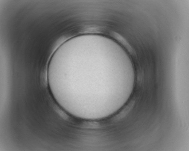 X0000111391370200907311105