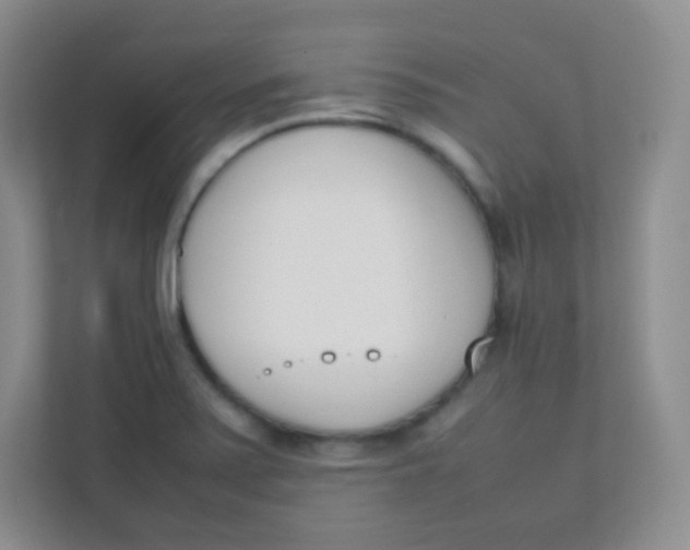 X0000111391371200907311105