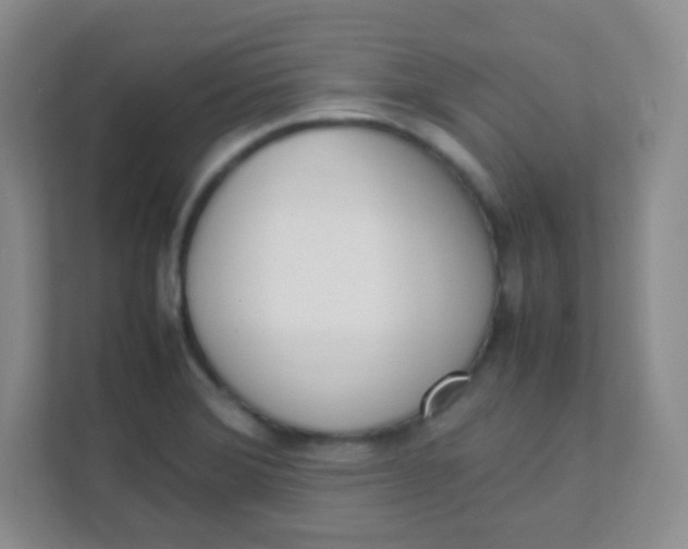 X0000111391372200907311105