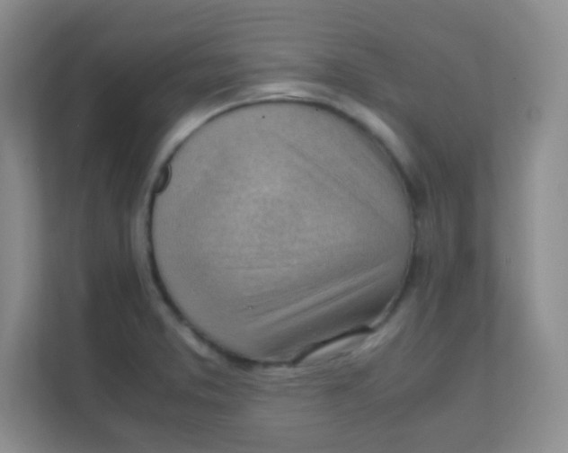 X0000111391373200907311105