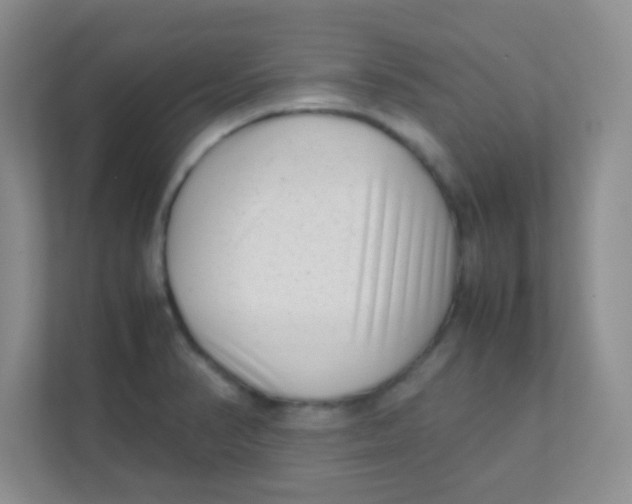 X0000111391374200907311105