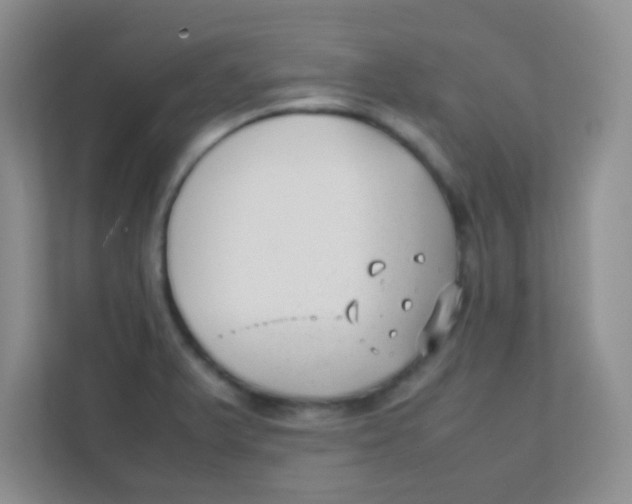 X0000111391375200907311105