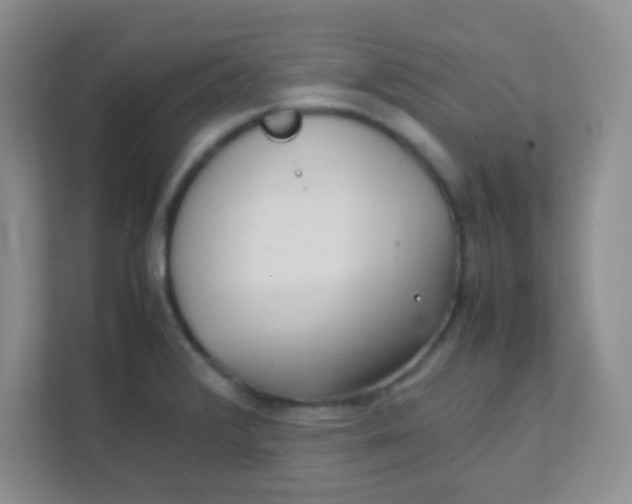 X0000111391376200907311105