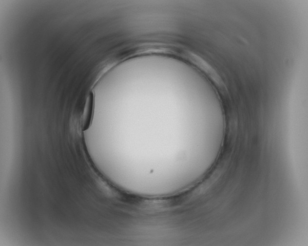 X0000111391377200907311105