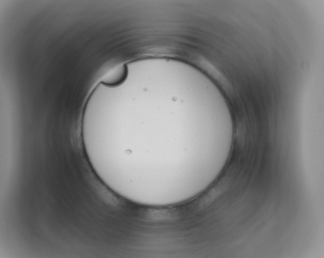 X0000111391378200907311105