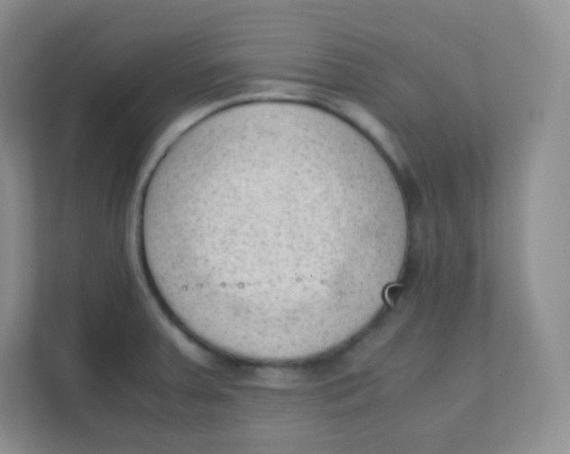 X0000111391379200907311105