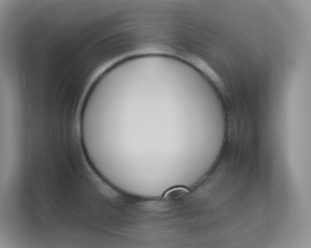 X0000111391380200907311105