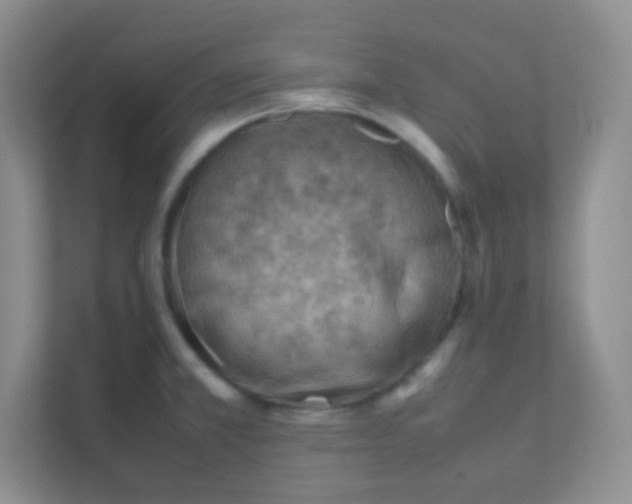 X0000111391381200907311105