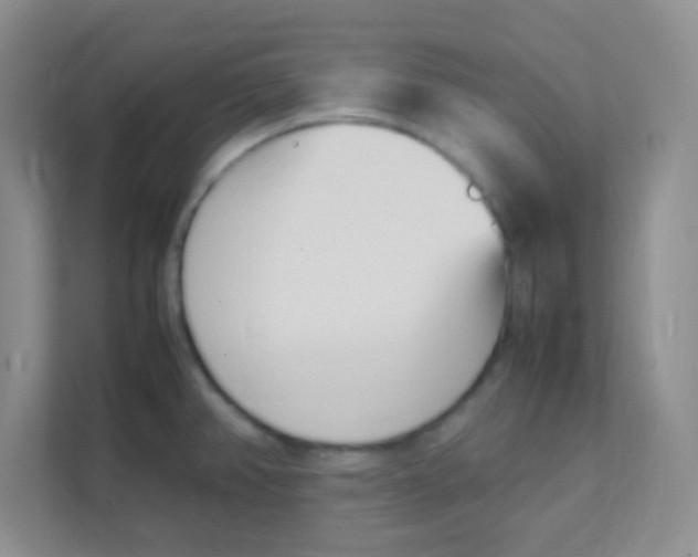 X0000111391382200907311105