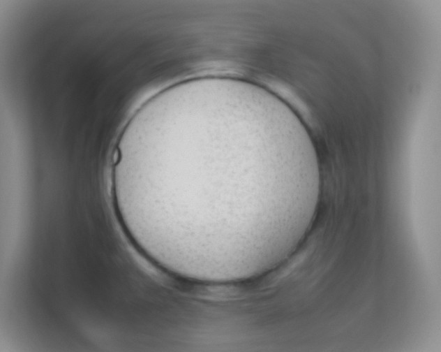 X0000111391383200907311105