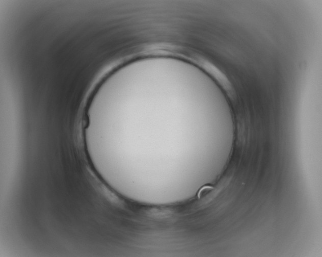 X0000111391384200907311105