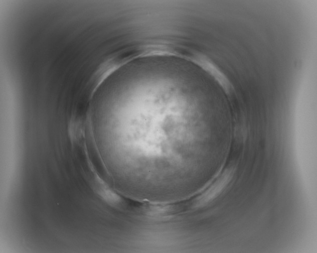 X0000111391385200907311105