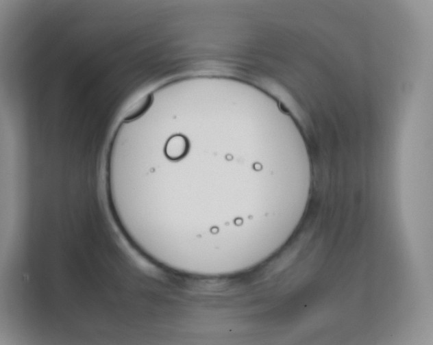 X0000111391387200907311105