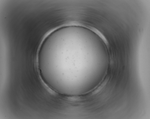 X0000111391388200907311105