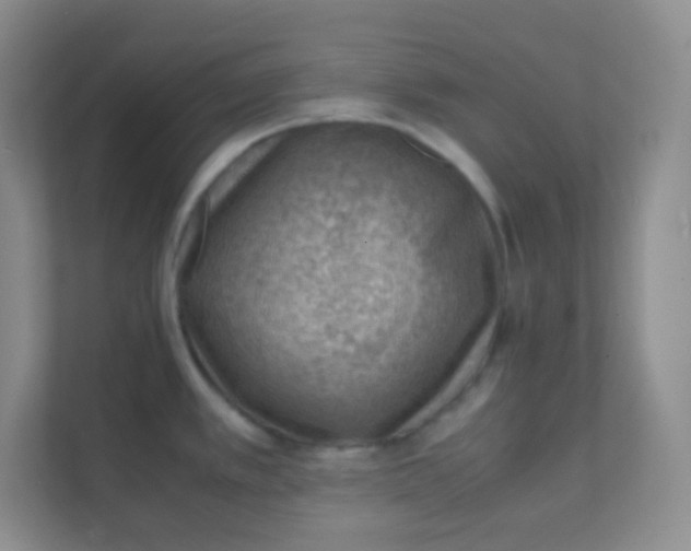 X0000111391389200907311105