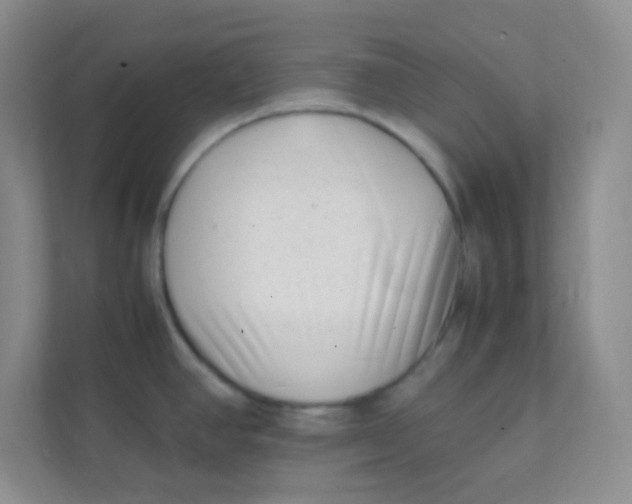 X0000111391390200907311105