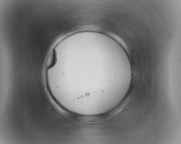 X0000111391391200907311105