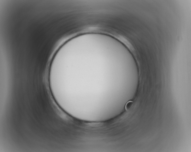 X0000111391392200907311105