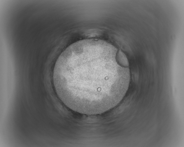 X0000111391393200907311104