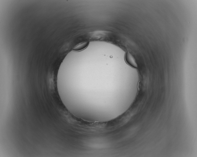 X0000111391394200907311104