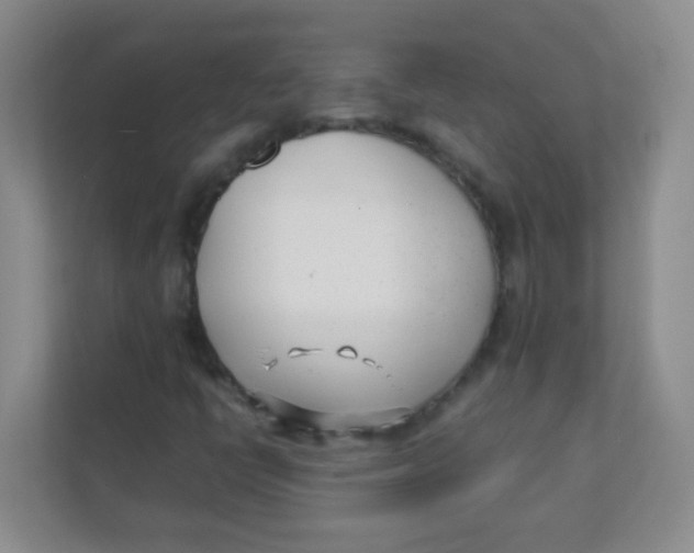 X0000111391398200907311104