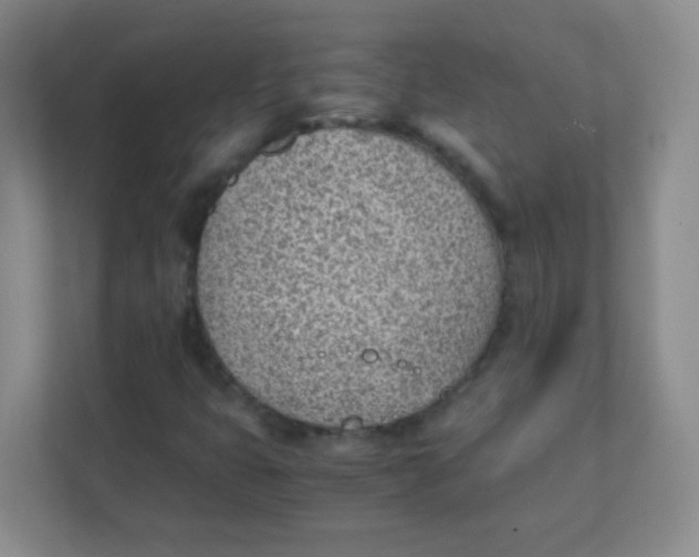 X0000111391399200907311104