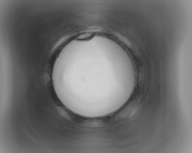 X0000111391400200907311104