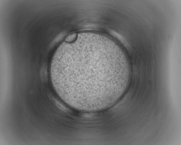 X0000111391403200907311104