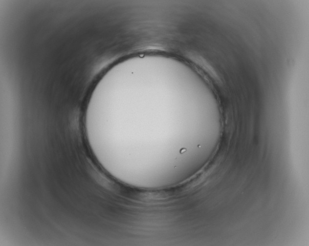 X0000111391404200907311104