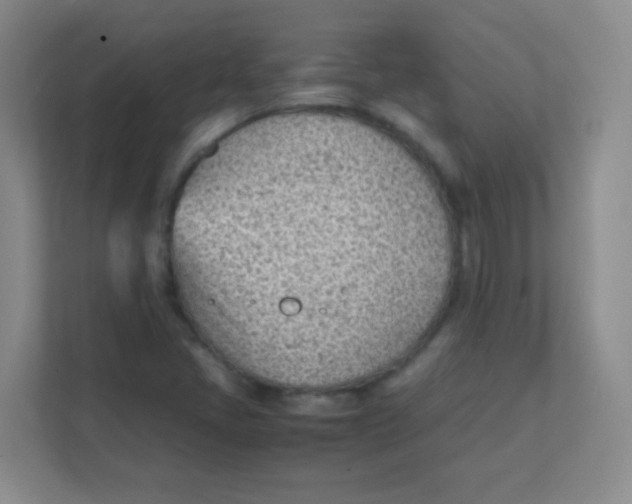 X0000111391405200907311104