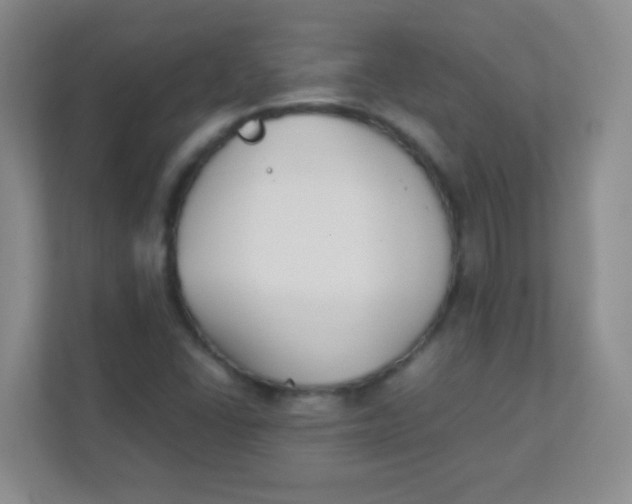 X0000111391406200907311104