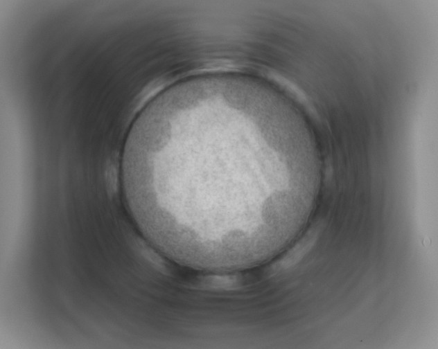 X0000111391409200907311104